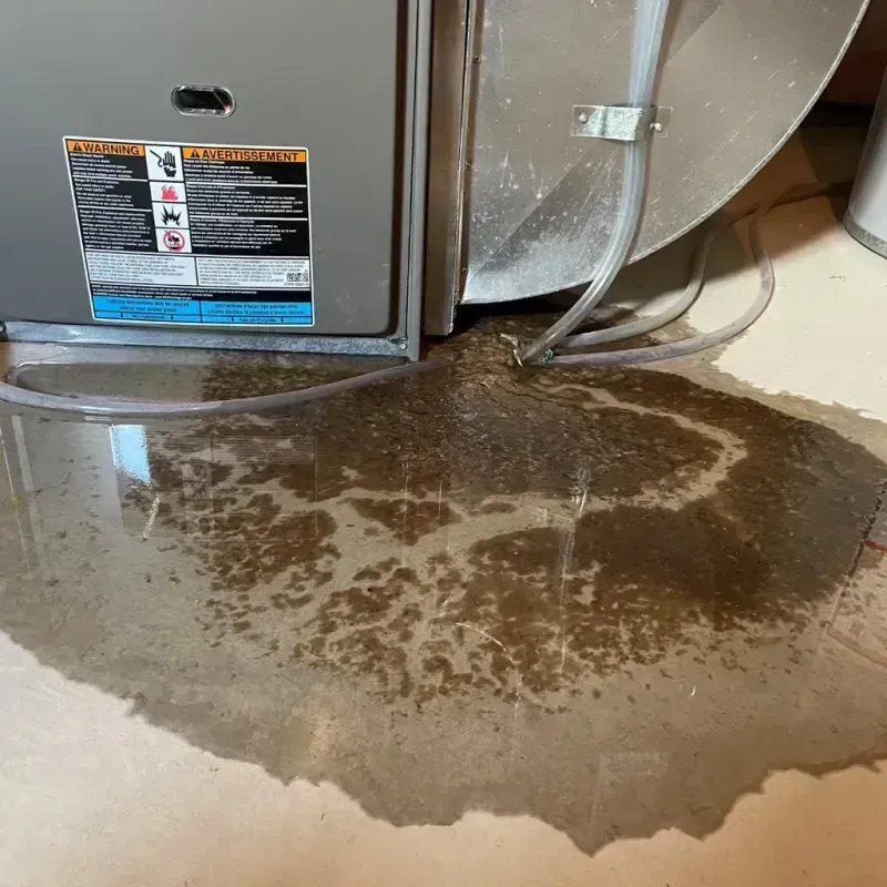 Appliance Leak Cleanup in Moore Haven, FL